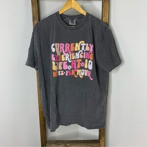Comfort Colors 10 WTFS Per Hour Graphic Gray T-Shirt
